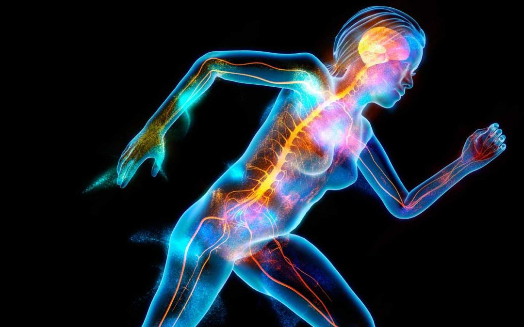 La Conexión entre Neurociencias, Cuerpo y Movimiento: La Importancia del Desarrollo de la Propiocepción y la Enterocepción como Nuevos Sentidos